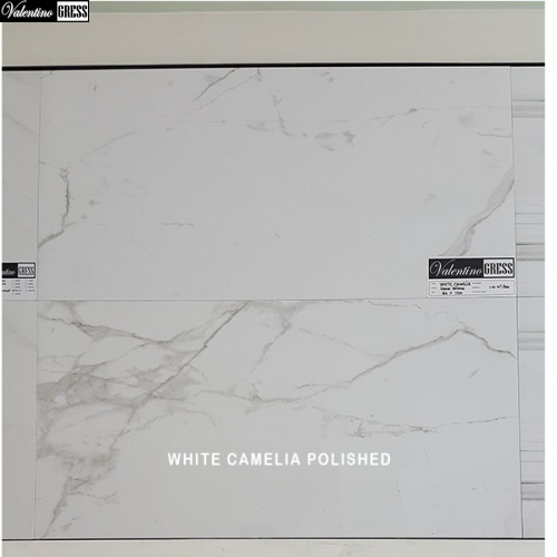 VALENTINO GRESS Valentino Gress White Camelia Flamed 60x120 - 3