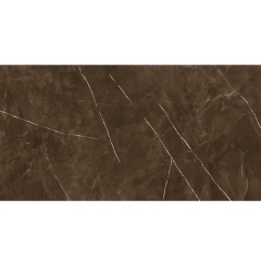 Titanium Pulpis Dark Brown Glossy 60x120