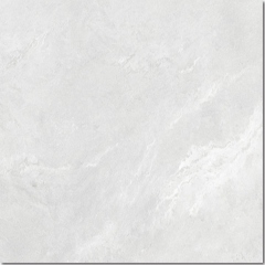 Titanium Ardesia White Matte 100x100