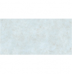 Indogress Cemento Bianco 60x120