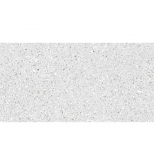 Niro Granite GTZ03 Terrazzo Griseo 60x60