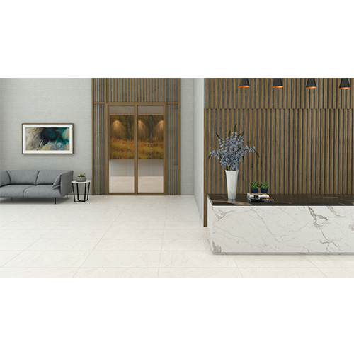 ROMAN GRANIT Roman GT1262019R dCampitelli Bone 60x120 - 2
