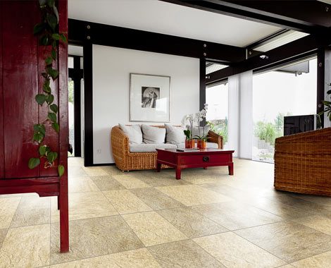 INDOGRESS Indogress Mitica Gris 60x60 - 2