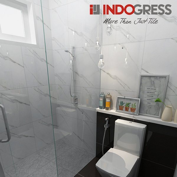 INDOGRESS Indogress Titanio Statuario 60x60 - 2