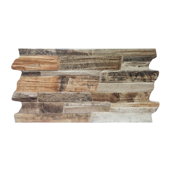 Roman dTriassic Fossil GL638060 30x60