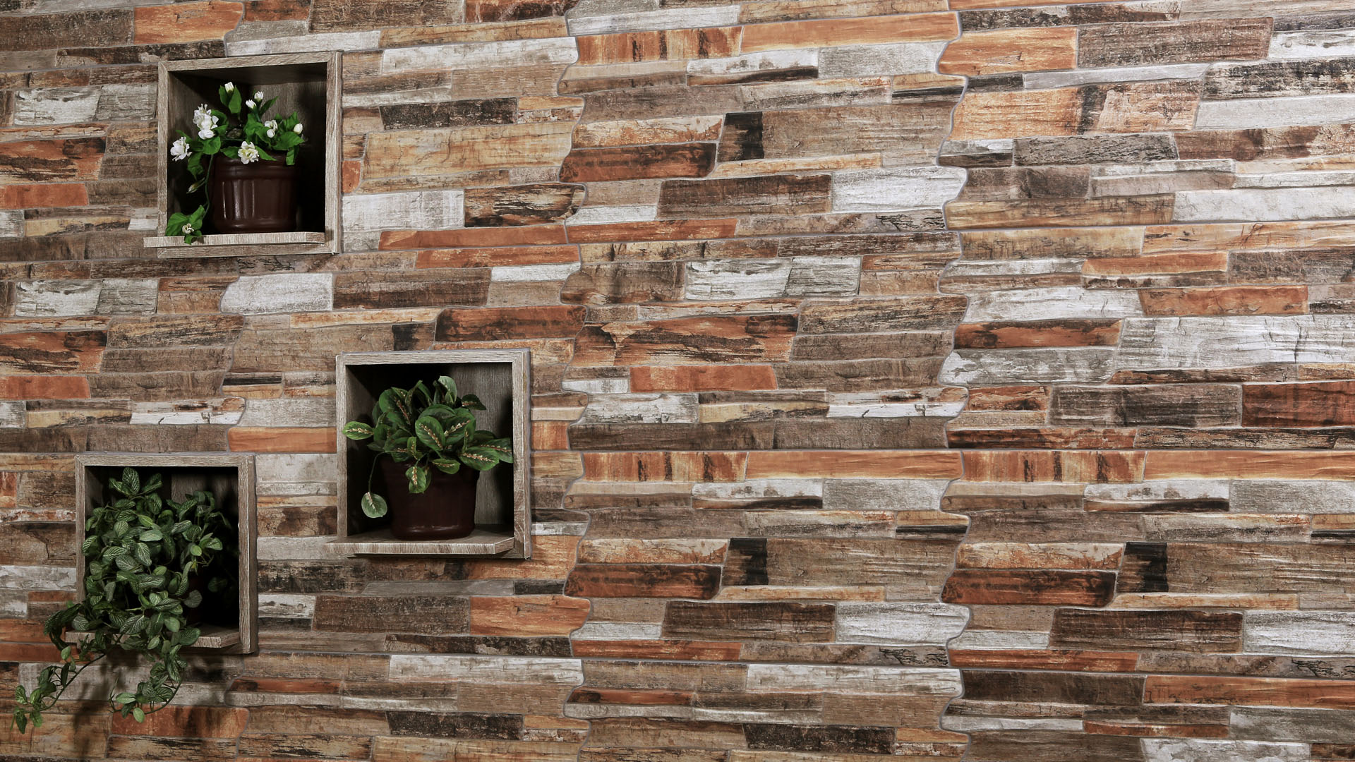 ROMAN CERAMIC Roman dTriassic Fossil GL638060 30x60 - 2