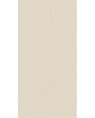 ROMAN CERAMIC Roman dNeutra Brown W63311 30x60 - 1