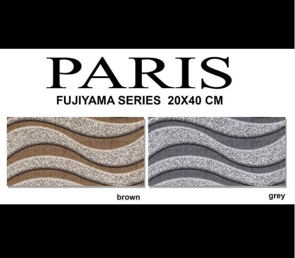 PARIS Paris Fujiyama Grey 20x40 - 2
